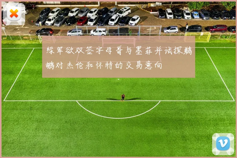绿军欲双签字母哥与墨菲并试探鹈鹕对杰伦和怀特的交易意向
