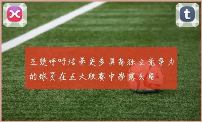 王楚呼吁培养更多具备独立竞争力的球员在五大联赛中崭露头角